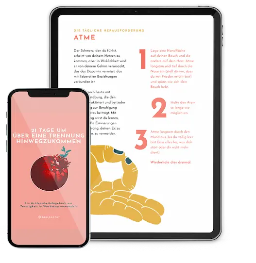 Das Trennungs-Journal Bundle (2 digitale Bücher Deutsch)