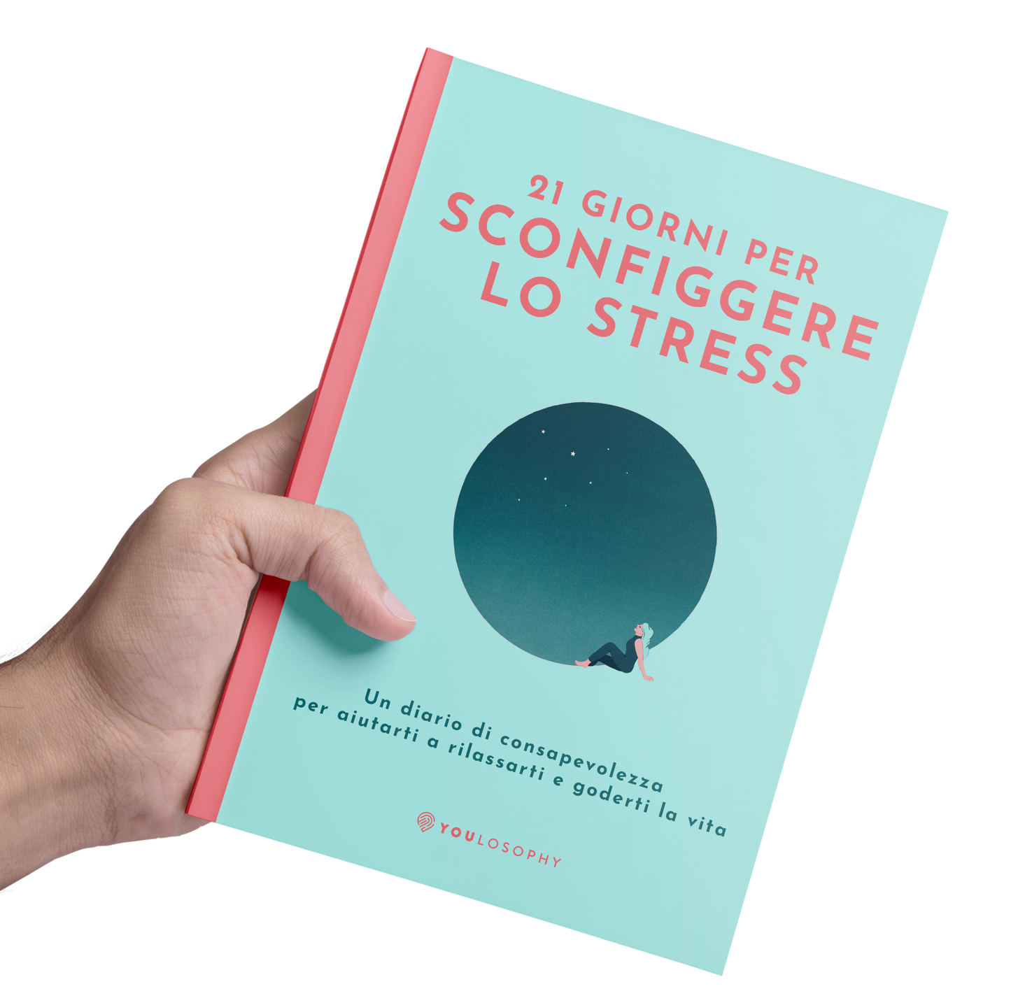 Bundle del Diario dello stress (2 libri personalizzati con copertina rigida)