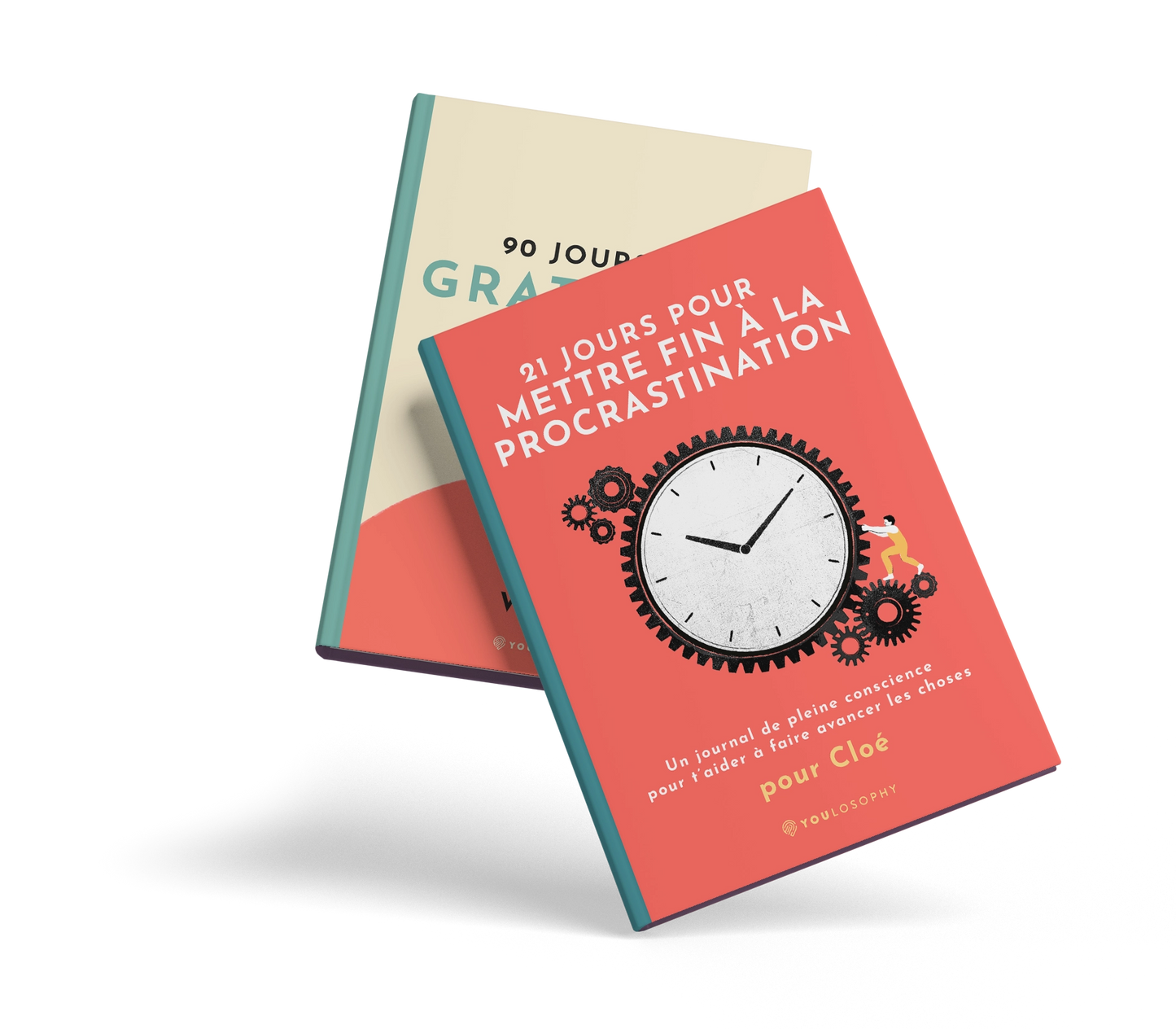 Le lot des Journaux de la Procrastination (2 livres numériques, français)