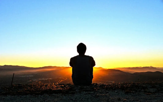 Exploring Life's Meaning: 5 Influential Philosophers