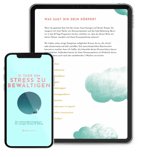 Das Stress-Journal (Digital Deutsch)