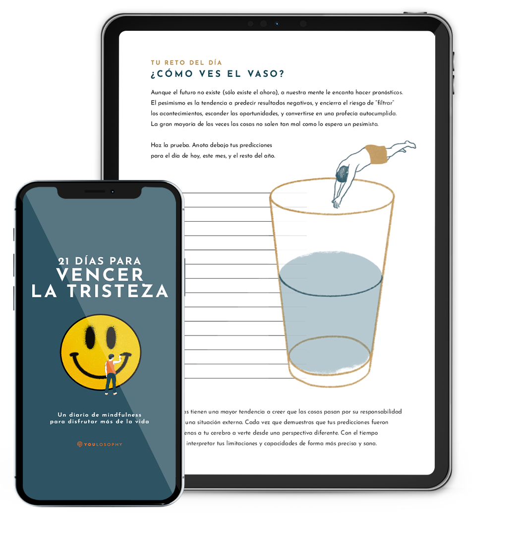 Journal de la Felicidad (digital, Spanish)