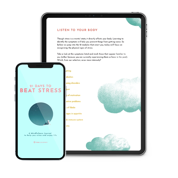 The Stress Journal Bundle (2 digital books)