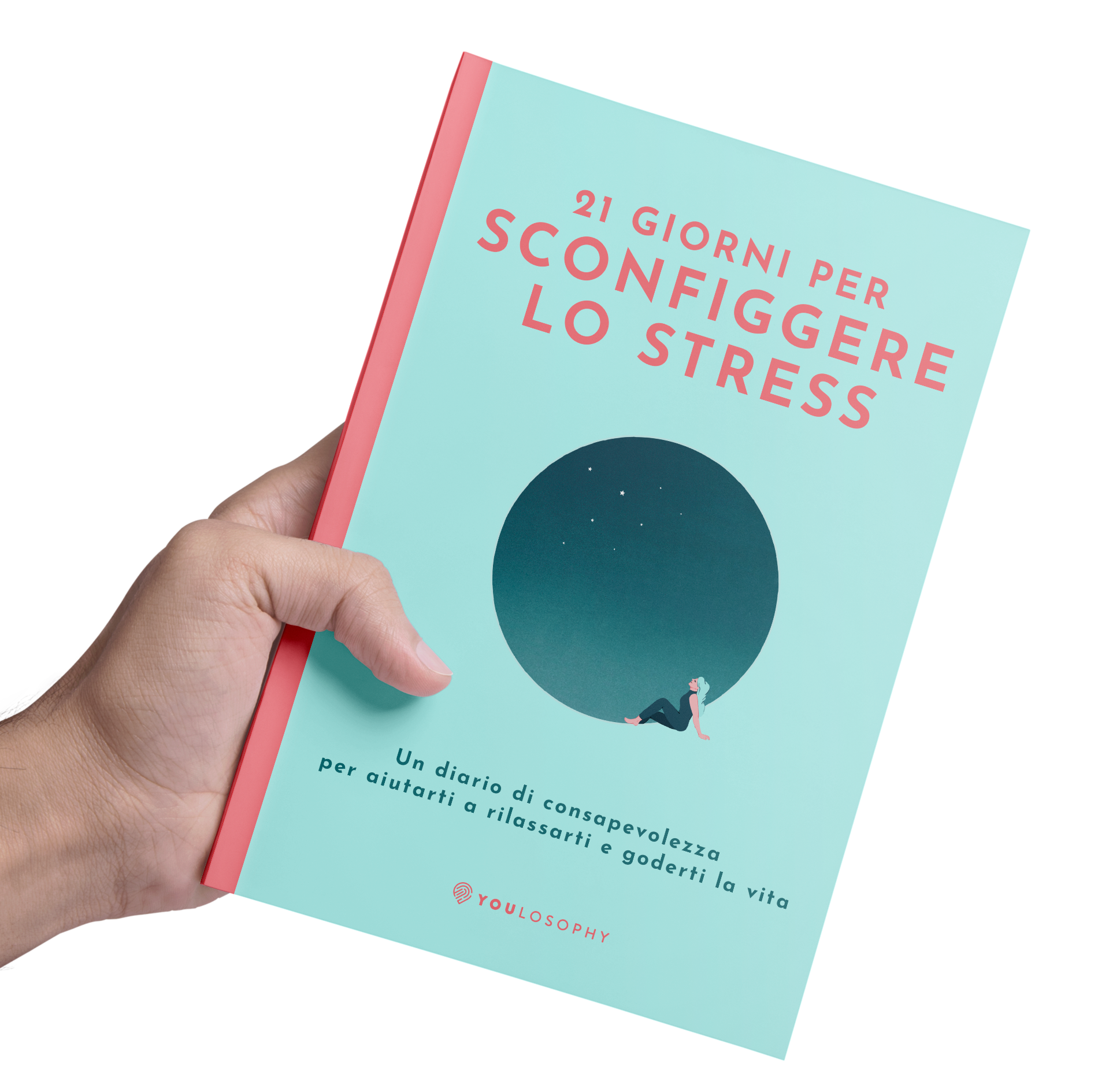 Bundle del Diario dello stress (2 libri personalizzati con copertina rigida)
