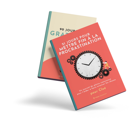 Le lot des Journaux de la Procrastination (2 livres numériques, français)