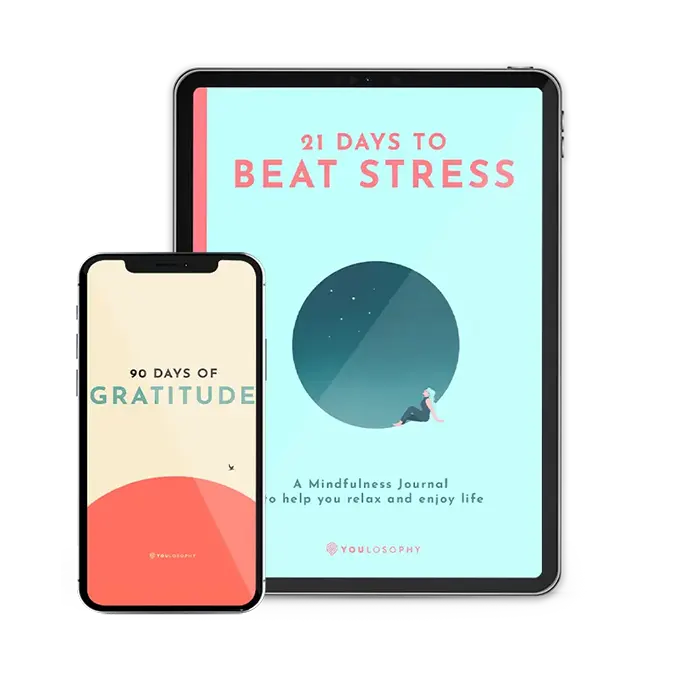 The Stress Journal Bundle (2 digital books)