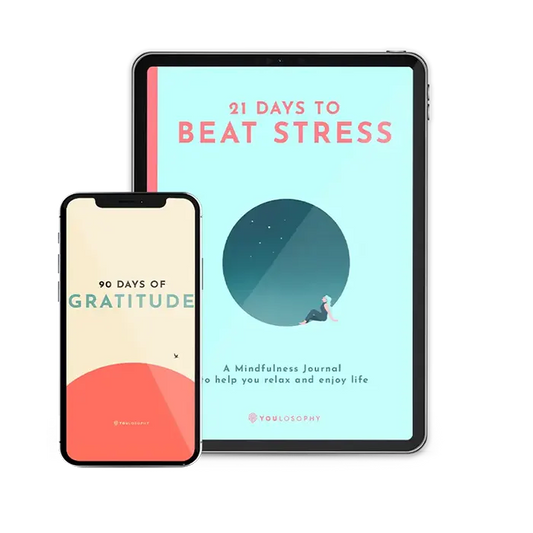 The Stress Journal Bundle (2 digital books)